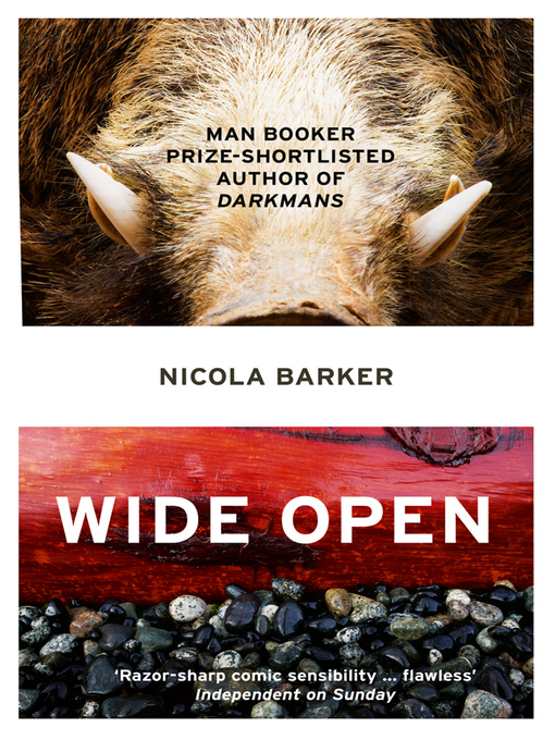 Title details for Wide Open by Nicola Barker - Available